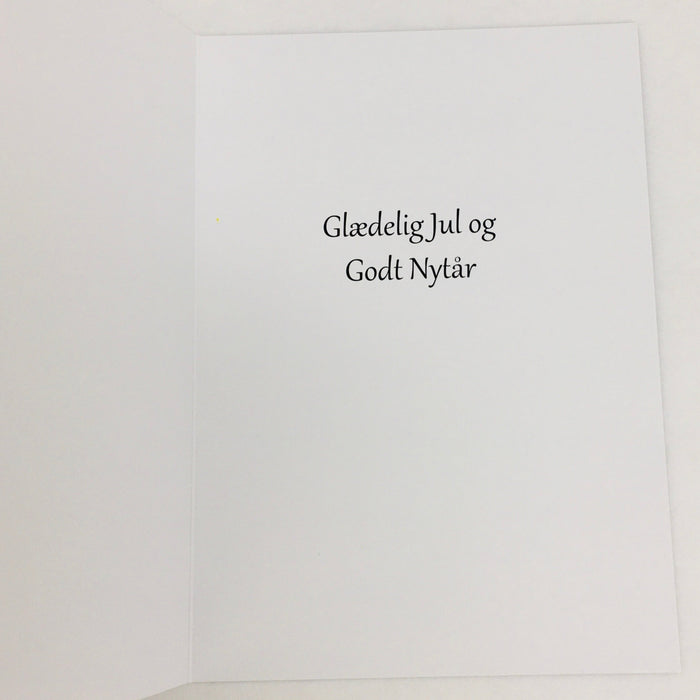 Danish Text
