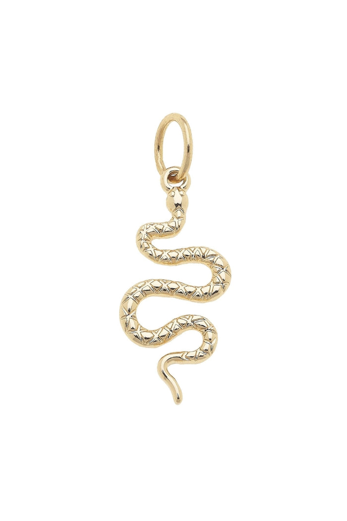 Canvas Style Charms-Serpent