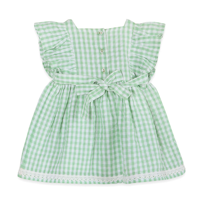 Forest Gingham Baby Dress Back (Organic)