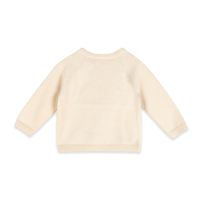 Organic Cotton Fuzzy Hearts Baby Sweater Pullover, Back