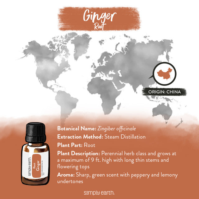 Ginger Root Essential Oil
