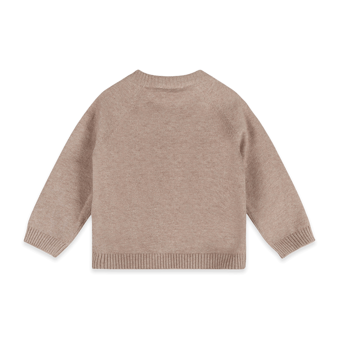 Organic Cotton Moose Woods Knit Baby Pullover, Back
