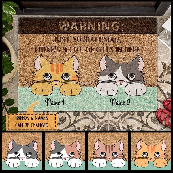Pawzity Custom Mat, Gifts For Cat Lovers, Warning Just So You Know There's A Lot Of Cats In Here