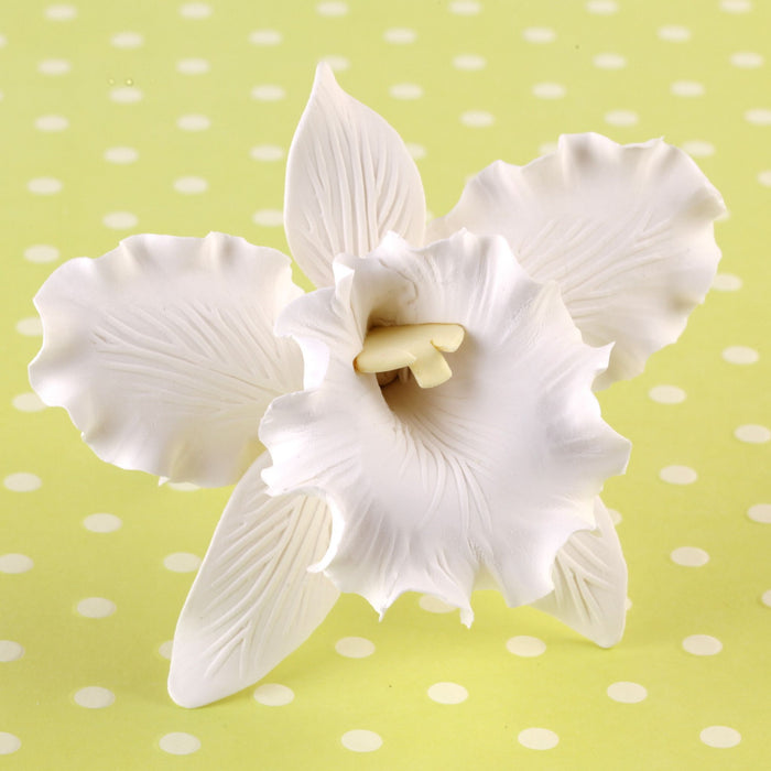 Edible Gumpaste Large White Cattleya sugar flower cake toppers and cake decorations perfect for cake decorating rolled fondant wedding cakes, cupcakes and birthday cakes and cupcakes. Edible Cake Decoration and wholesale cake supplies. | CaljavaOnline.com