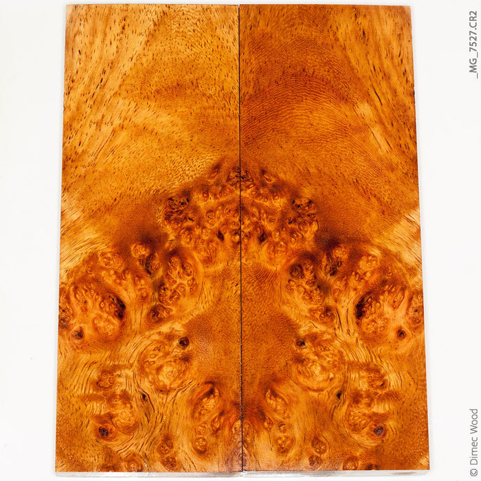 Stabilized golden amboyna burl wood panels