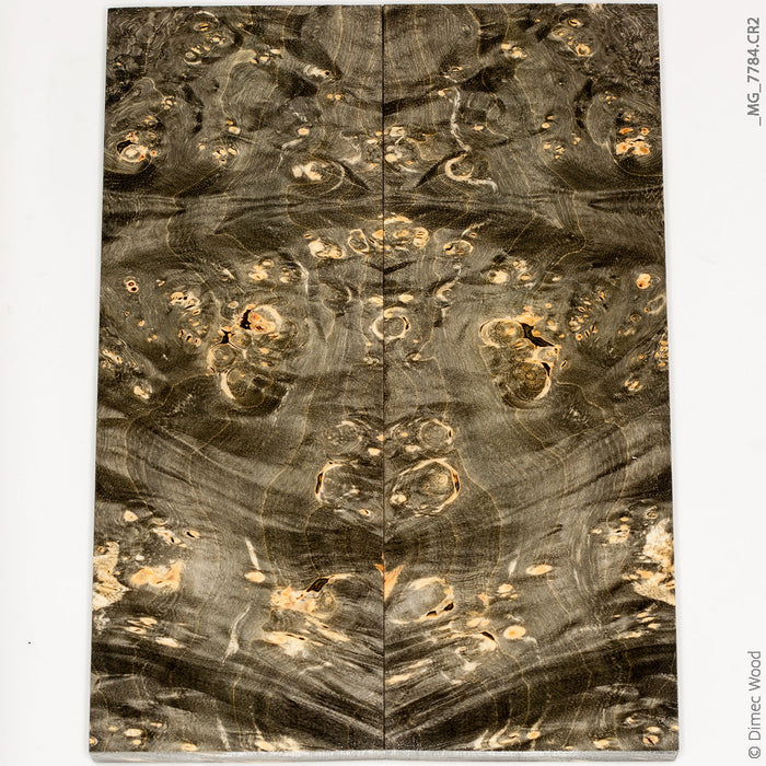 Stabilized wood box elder burl panels