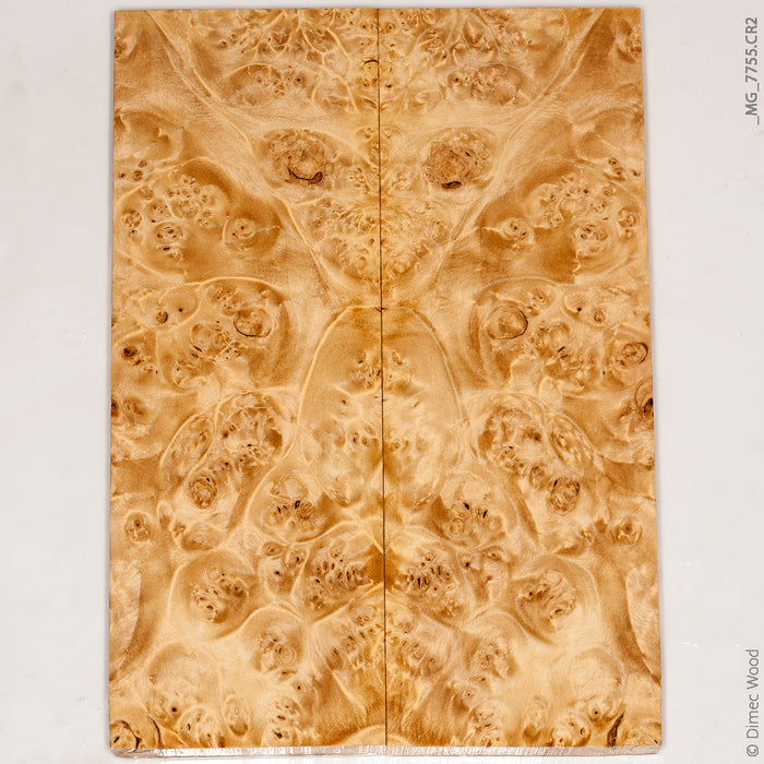 Stabilized wood box elder burl panels