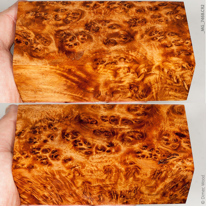 Stabilized wood golden amboyna burl block