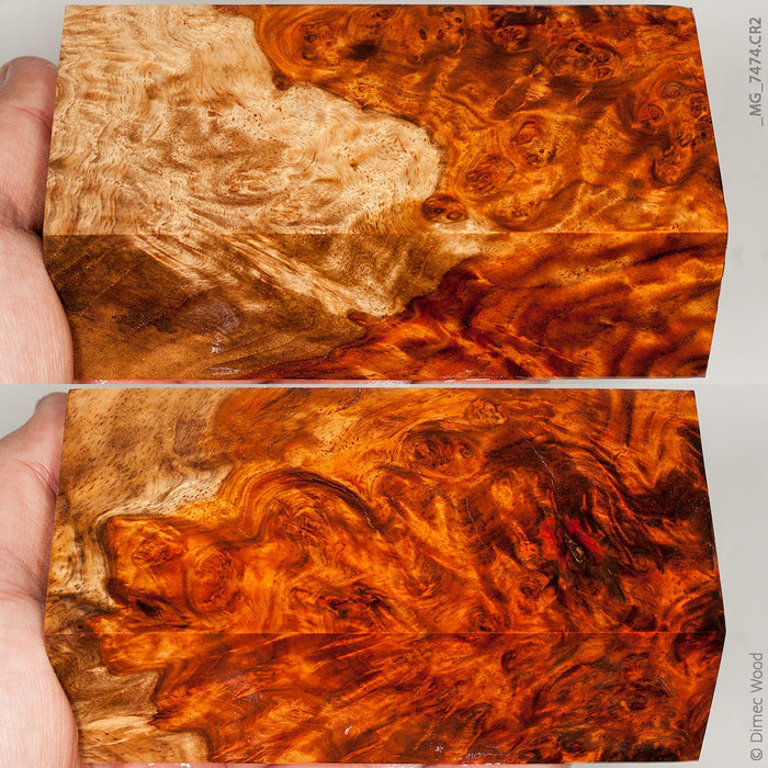 Stabilized wood red amboyna burl block