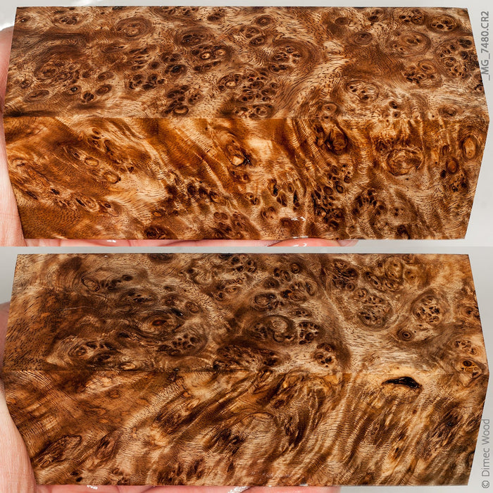 Stabilized wood spalted amboyna burl block