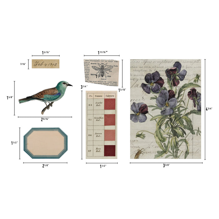 Tim Holtz Transparent Things 2