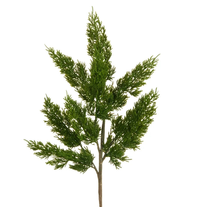 25" Green Cedar Spray