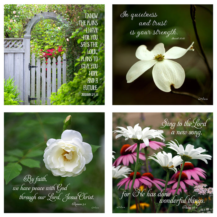 31 Days of Encouragement Boxed Mini Print Collection w Acrylic Holder