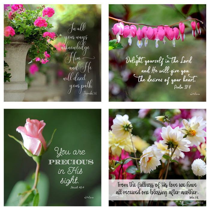 31 Days of Encouragement Boxed Mini Print Collection w Acrylic Holder