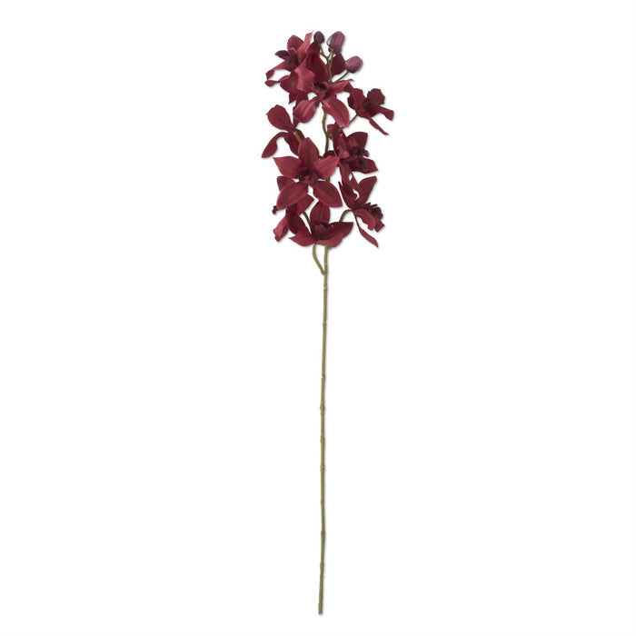36 Inch Burgundy Orchid Stem