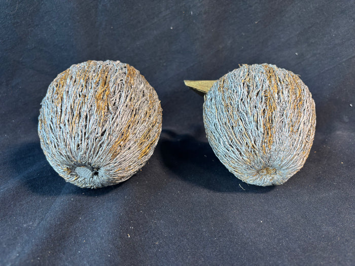 Pair Of Silver/Gold Tone Straw Apple Decor