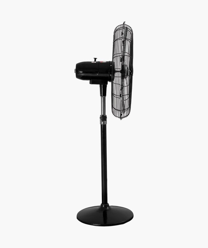 AC/DC Pedestal (18")