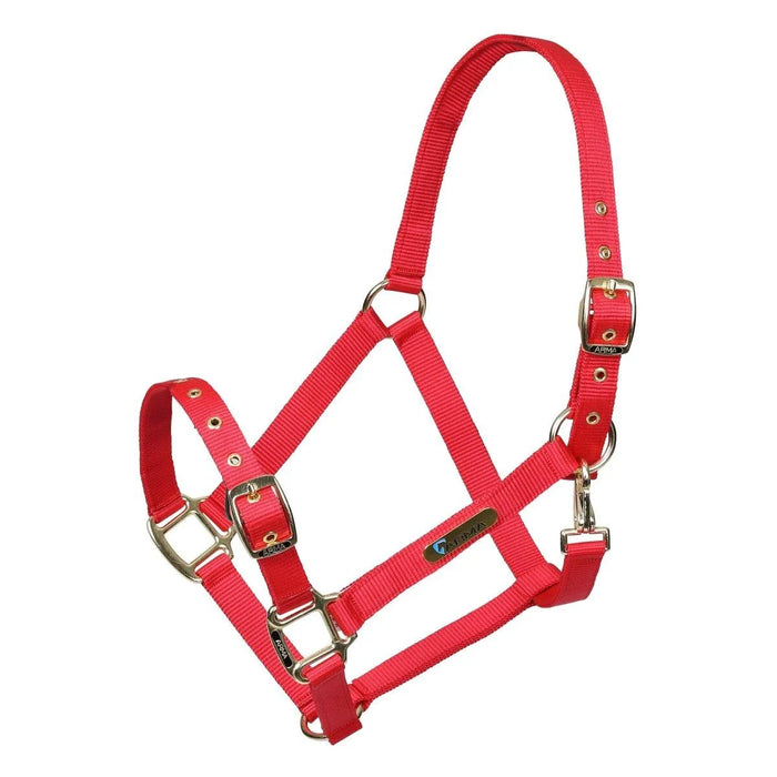 ARMA Adjustable Headcollar - Black - Cob