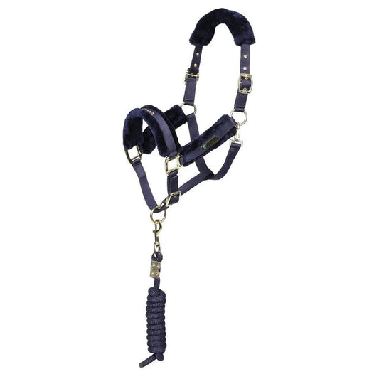 ARMA Logo Headcollar & Lead Rope - Black - Cob