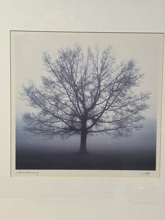 Awakening Print by Richard Calvo; Signed