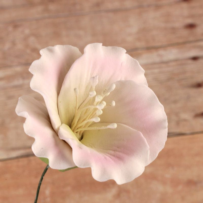 Pink Azalea blossom sugarflower made from gumpaste.  Cake decoration.  Wholesale cake supply.  Caljava Bakery Supply.