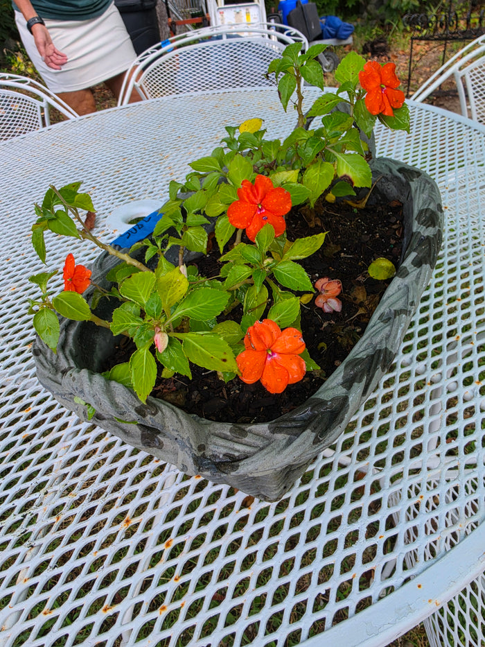 Basket Style Resin Planter w/Dirt