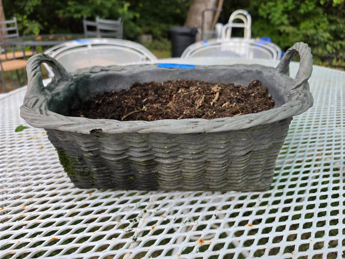 Basket Style Resin Planter w/Dirt