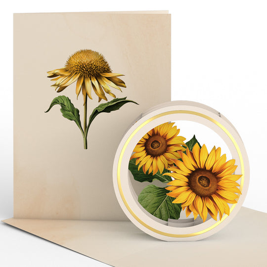 Beautiful Botanicals Paperpop® Card - Assorted
