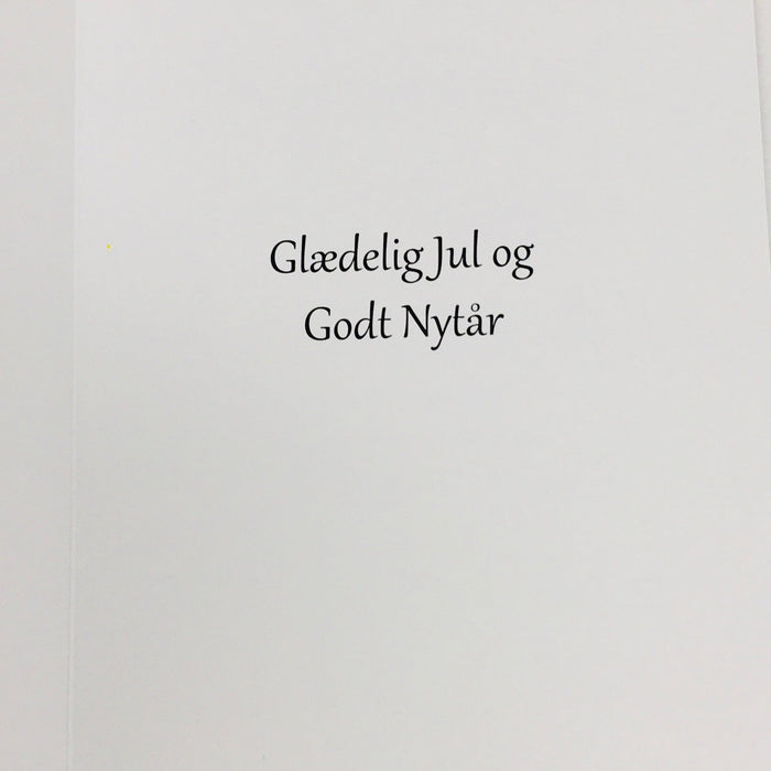 Danish Text