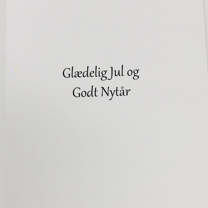 Danish Text