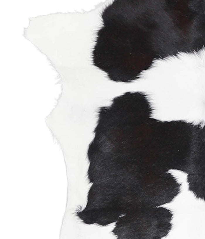 Calfhide #A28501