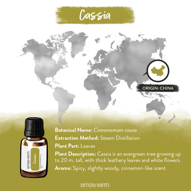 Cassia Essential Oil