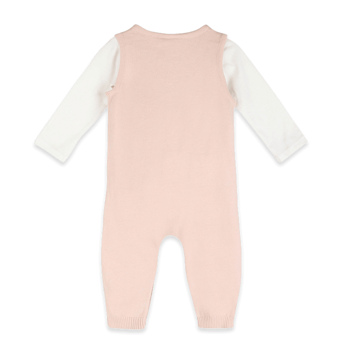 Organic Cotton Cat's Meow Knit Baby Overall Set, Back Layers