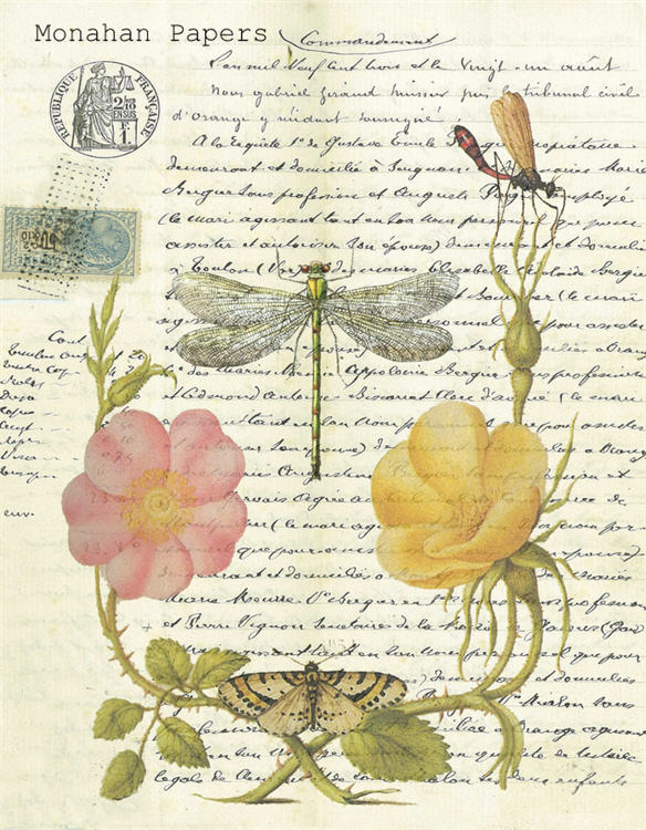 Dragonfly (007) X331