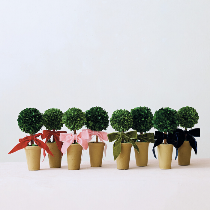 Dried Boxwood Tree in Terra-Cotta Pot w/ Velvet Bow - 13 Hub Lane   |  Tabletop Trees