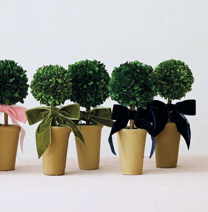 Dried Boxwood Tree in Terra-Cotta Pot w/ Velvet Bow - 13 Hub Lane   |  Tabletop Trees