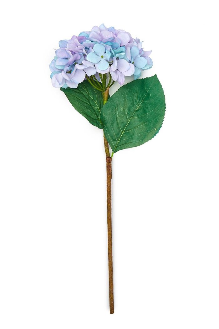 Everlasting Hydrangea Stem