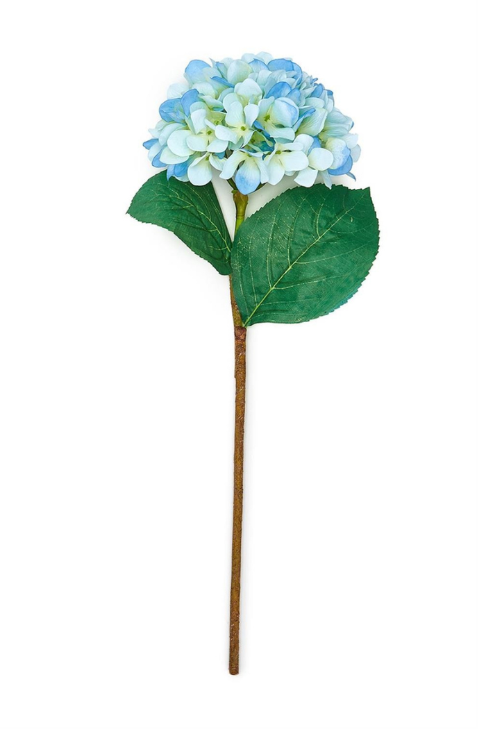 Everlasting Hydrangea Stem