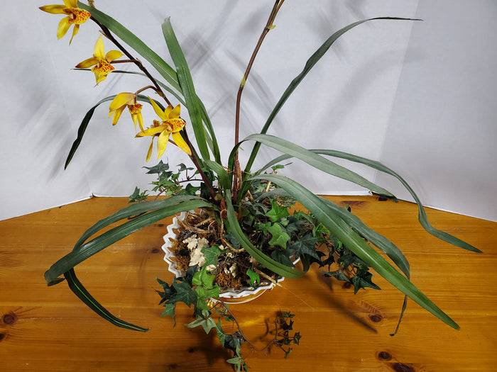 Faux Yellow Orchid Arrangement