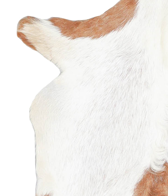 Goatskin #A28253
