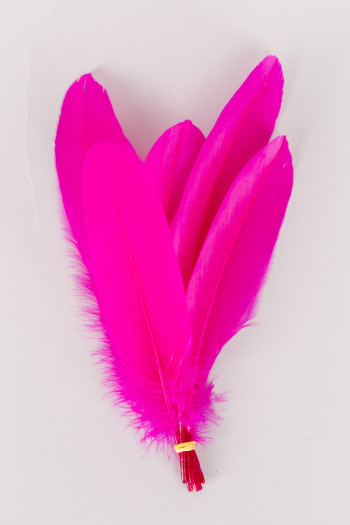 Goose Feathers Bundle of 6 - Yellow Rubber Band - FINAL SALE