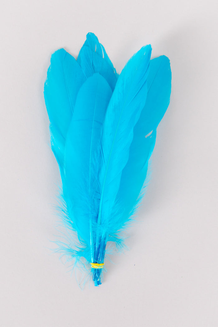 teal blue