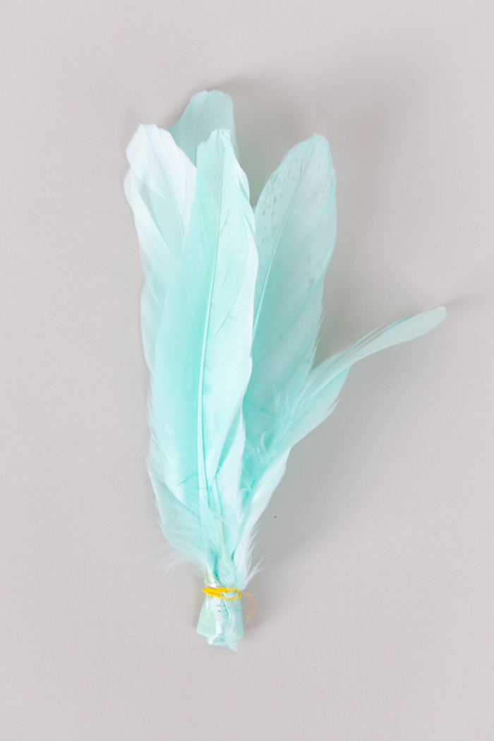 light blue