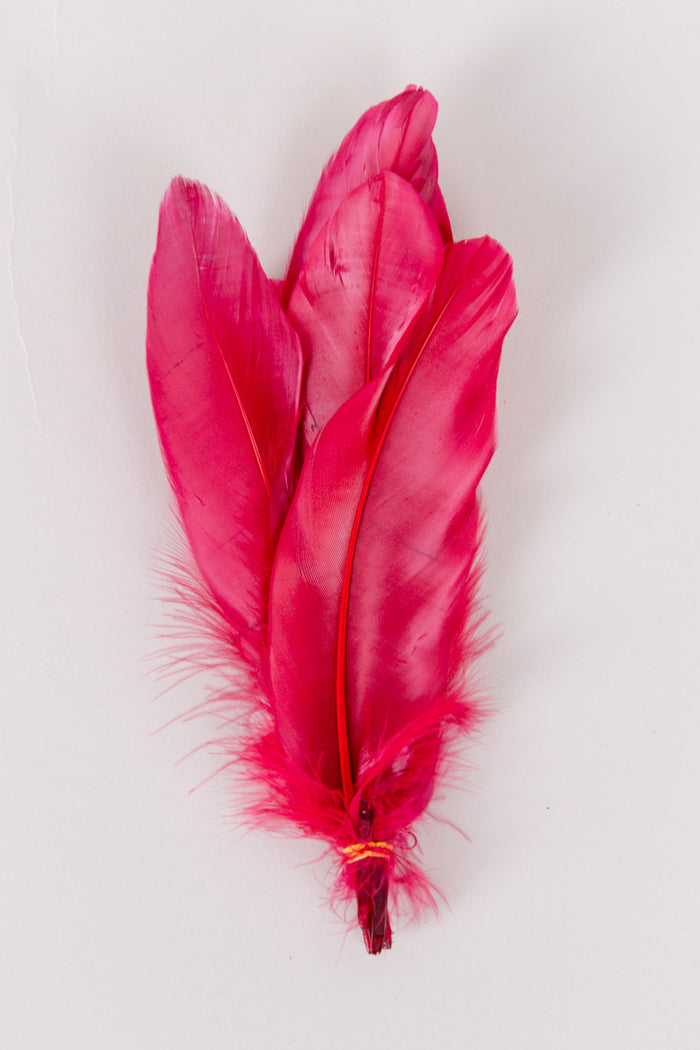 Goose Feathers Bundle of 6 - Yellow Rubber Band - FINAL SALE