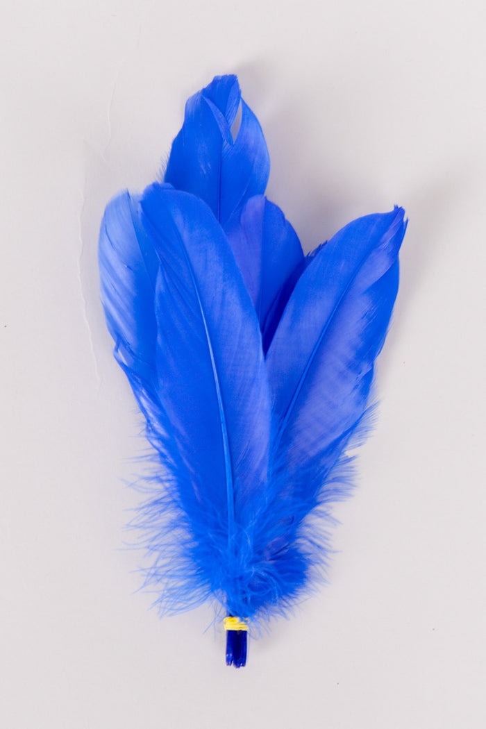 Goose Feathers Bundle of 6 - Yellow Rubber Band - FINAL SALE