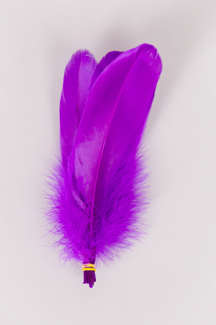 Goose Feathers Bundle of 6 - Yellow Rubber Band - FINAL SALE