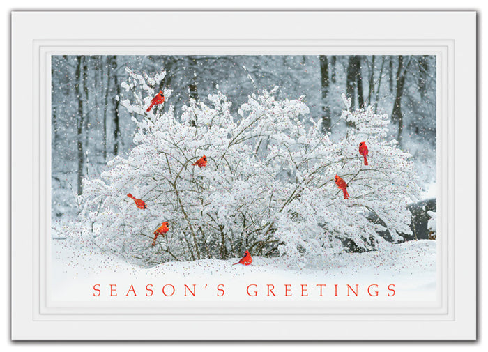 HP03394 - H14647 Winter Perch Holiday Cards 7 7/8 x 5 5/8" QTY 25