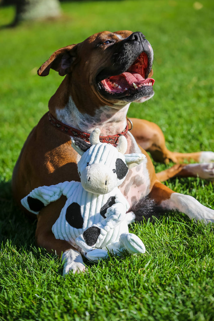 HuggleGroup - Dottie Cow Knottie® Plush Dog Toy