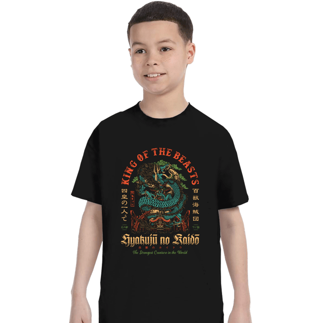 Daily_Deal_Shirts T-Shirts, Youth / XS / Black Hyakuju no Kaido