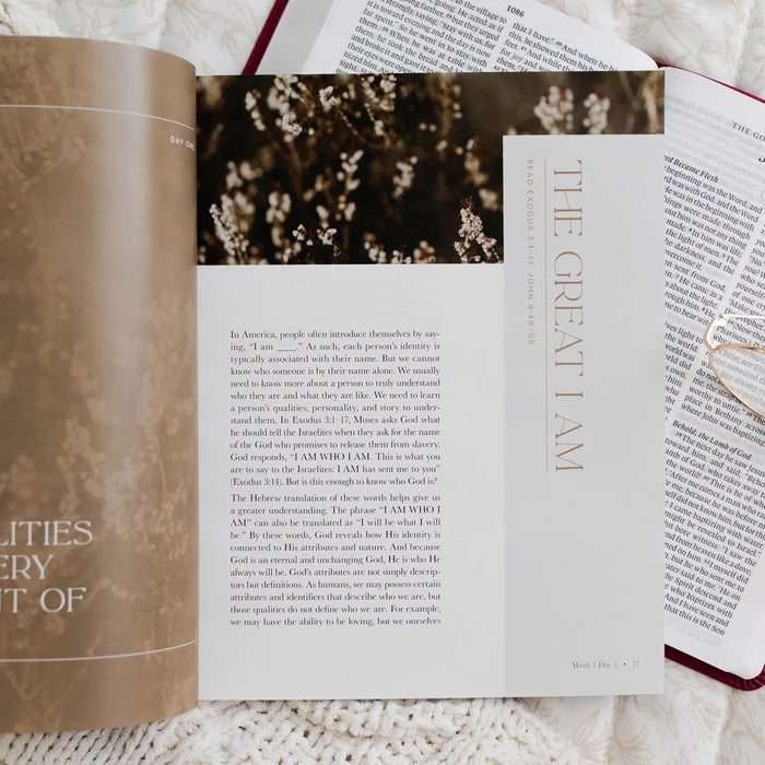 I Am | Bible Study on Jesus's I Am Statements